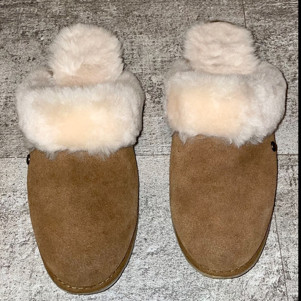 Bearpaw slippers